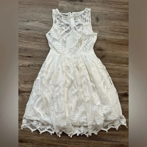 Maeve Dresses & Skirts - Maeve Anthropologie Pina Pineapple Lace Fit & Flare Dress Sz 4 White Sleeveless